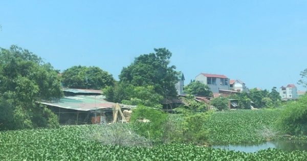 Vĩnh Phúc: Thành lập đoàn kiểm tra đất đai tại huyện Yên Lạc sau phản ánh của Pháp luật Plus