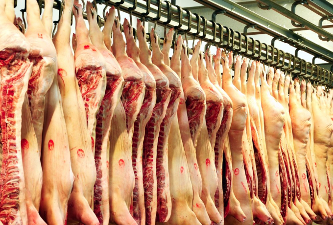 Nhập khẩu thịt lợn dự báo vẫn cao trong những tháng cuối năm. Ảnh: TL
