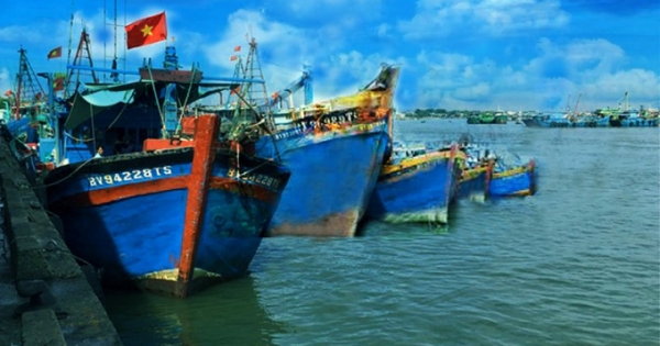 Bà Rịa – Vũng Tàu: Tạm dừng hoạt động cảng cá Hưng Thái trên địa bàn huyện Long Điền