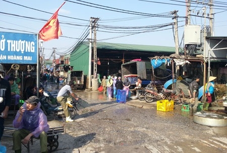 Giao công an điều tra vụ cấp giấy đi đường tràn lan ở chợ cá Yên Sở