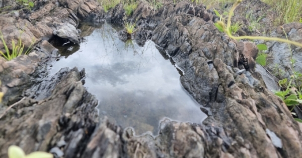 Hồ trên đá, đặc sản được tạo ra từ thủy điện Trị An