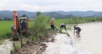 Mưa lớn ở Đắk Lắk làm ngập 128 ngôi nhà và gần 4.500 ha cây trồng