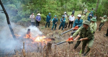 Thanh Hoá: Chủ động phòng chống cháy rừng trong mùa nắng nóng