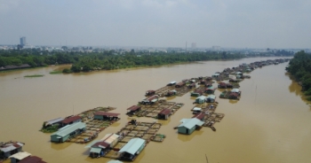 Thiệt hại hơn 1.900 tấn cá do mưa liên tiếp trong mấy ngày qua tại Đồng Nai