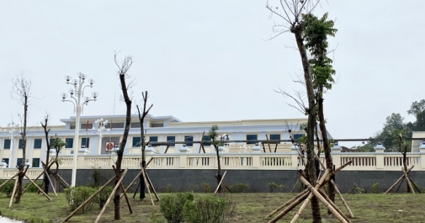 Điện Biên: Hàng loạt cây xanh mới trồng bị chết khô giữa trung tâm huyện Nậm Pồ