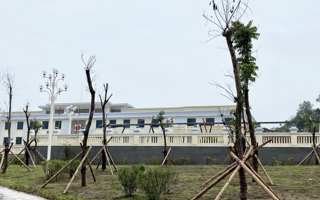 Cây xanh mới trồng đã chết khô tại Điện Biên: Cần truy trách nhiệm đến từng tổ chức, cá nhân liên quan
