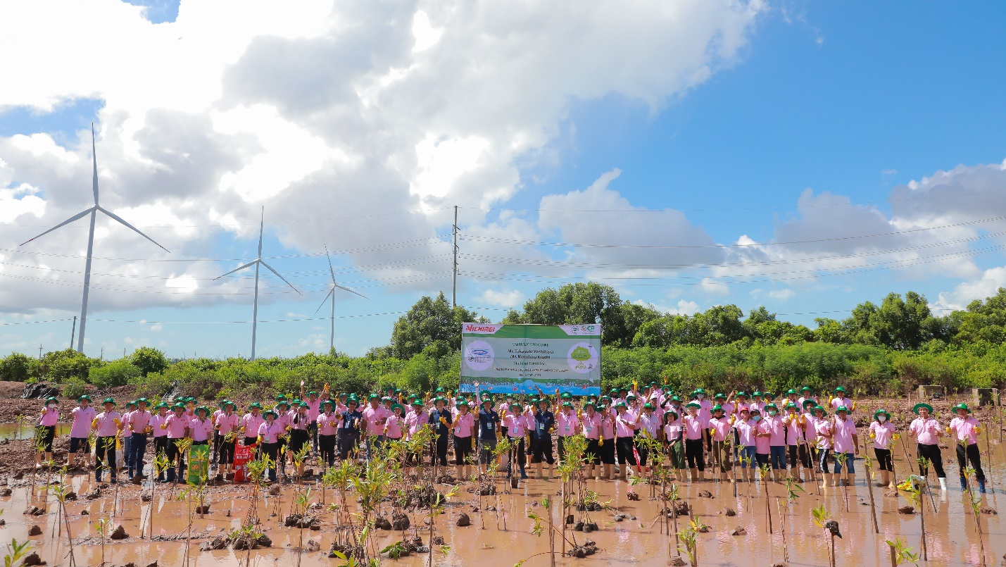 Hoàn thành mục tiêu trồng 800 cây đước tại vùng nuôi tôm thương phẩm C.P. Bạc Liêu.