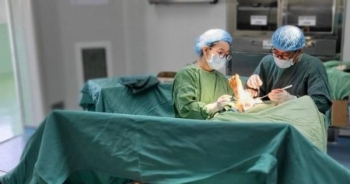 Quảng Bình: Tự điều trị bệnh gout, người đàn ông phải nhập viện