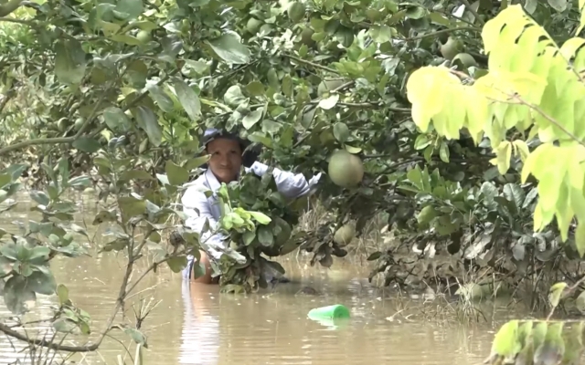 Cảnh báo lũ lụt khẩn cấp trên các con sông ở khu vực tỉnh Đồng Nai