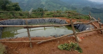 Lào Cai: Tắm ở hố tích nước, 3 cháu bé 7 tuổi đuối nước tử vong thương tâm