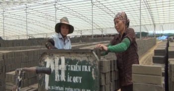 Vụ cưỡng chế lò gạch ở Bắc Phú: Chúng tôi sẽ mất “bát cơm ăn”