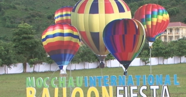 Sơn La: Tưng bừng Lễ hội khinh khí cầu trên cao nguyên Mộc Châu