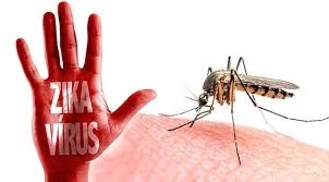 Bộ Y tế: Xử phạt người chống lệnh diệt vi rút Zika