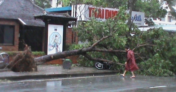Thừa Thiên - Huế: Khẩn trương ứng phó với bão số 4