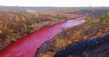 Nguyên nhân khiến dòng sông Nga chuyển màu đỏ tươi như máu