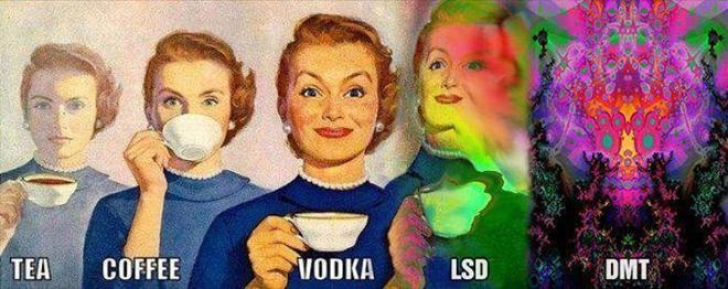 Ảnh minh họa khi sử dụng chất LSD trong