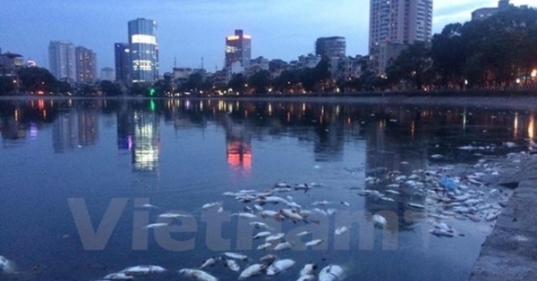 Chung tay “cứu” hồ ở Hà Nội: “Bảo tồn di sản, bảo vệ tương lai”