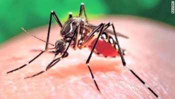 WHO: Virus Zika sẽ tiếp tục lan truyền trong thời gian tới