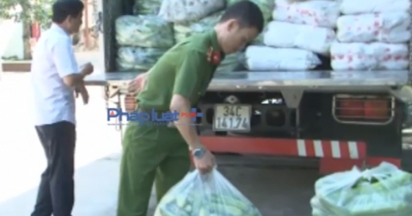 Nghệ An: Phát hiện và bắt giữ hơn 8 tấn rau quả không rõ nguồn gốc