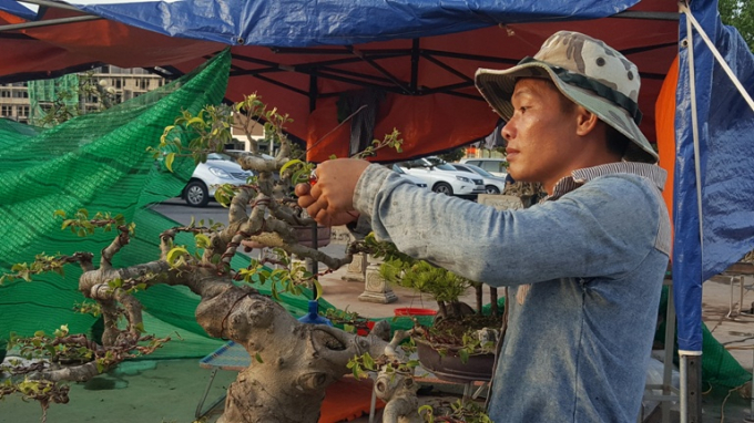 Chi&ecirc;m ngưỡng những t&aacute;c phẩm nghệ thuật Bonsai đặc sắc tại hội chợ OCOP Quảng Ninh lần thứ V
