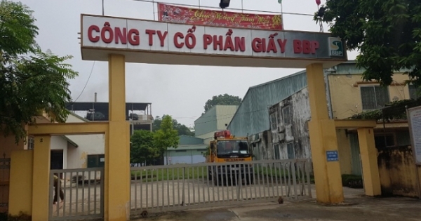 Tổng công ty giấy Việt Nam có nguy cơ mất trắng hàng chục tỷ đồng: Ai chịu trách nhiệm?