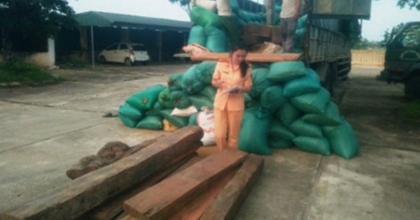 Thanh Hóa: Thu giữ gần 1,5m3 gỗ chở lậu