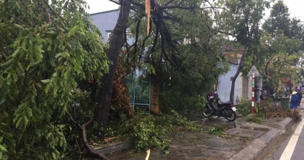 Thừa Thiên Huế: Hàng trăm ngôi nhà bị tàn phá do ảnh hưởng bão số 10