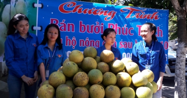 Người dân TP Vinh mua bưởi Phúc Trạch giúp đỡ bà con nông dân vùng tâm bão số 10
