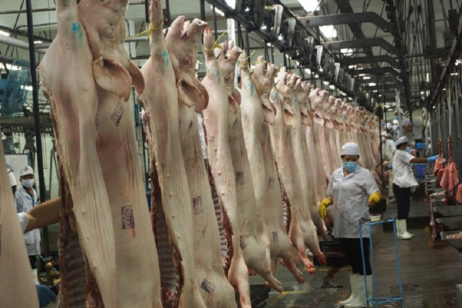 Bộ C&ocirc;ng an 'giải cứu' hơn 3.600 tấn thịt heo