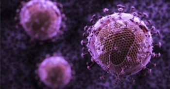 Phát hiện sốc: Tìm ra kháng thể mới có thể giết chết 99% các chủng HIV