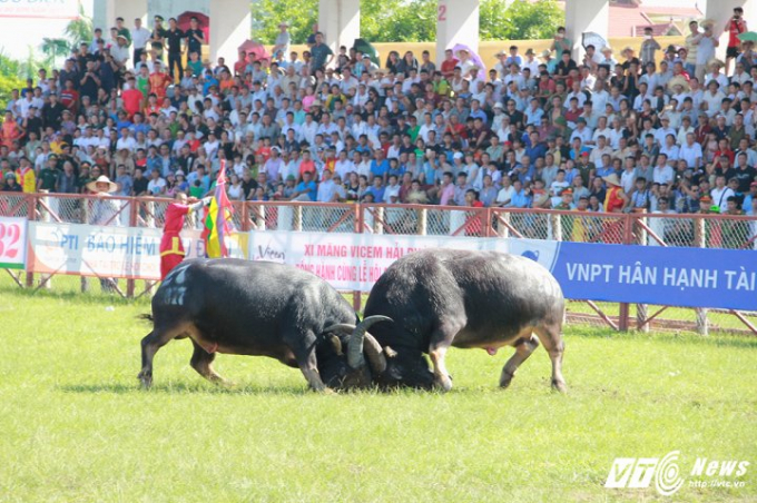 Cận cảnh những m&agrave;n