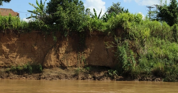 Sông Đồng Nai sạt lở nặng, dân nơm nớp lo mất nhà cửa