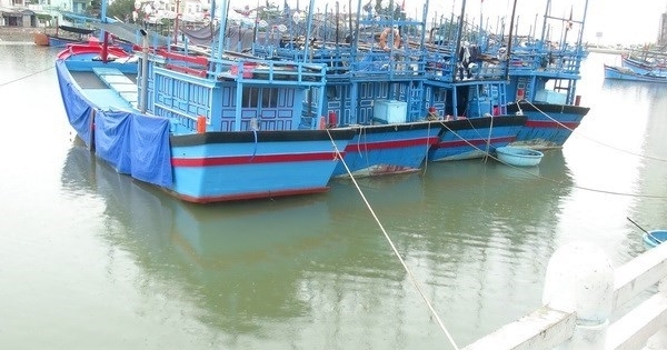 Nam Định cấm biển, khẩn trương kêu gọi tàu thuyền tránh bão
