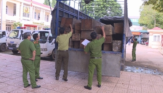 Đắk Lắk: Bắt giữ xe tải chở 31 hộp gỗ lậu