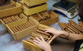 Tiêu dùng 72h: Sau vụ thu giữ 1.200 điếu Cigar trên phố Bà Triệu, chế tài xử lý ra sao?