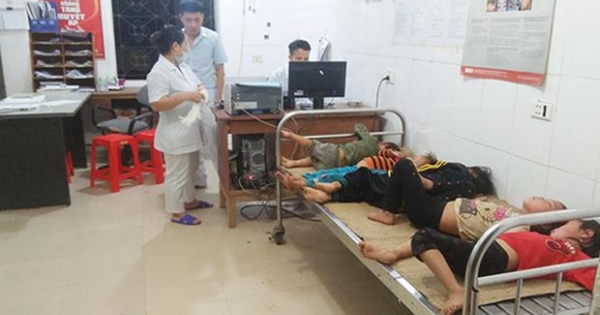 Nghệ An: Bị ong tấn công, 7 người phải nhập viện
