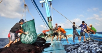 Mỗi năm Việt Nam khai thác hơn 3 triệu tấn hải sản
