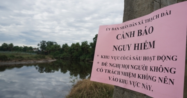 "Cấm sông", truy tìm cá sấu bất ngờ xuất hiện tại Hà Tĩnh