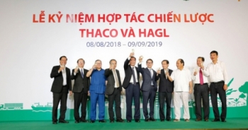 HAGL và Thaco: Thương vụ hợp tác lớn nhất trên sàn chứng khoán Việt