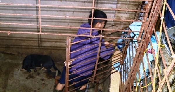 Đường dây trộm hơn 100 tấn chó: Làm hầm "bí mật" để nhốt chó