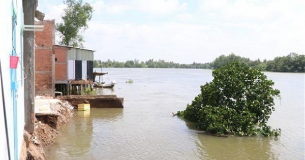 Long An công bố tình trạng khẩn cấp khu vực sạt lở bờ sông Cần Giuộc