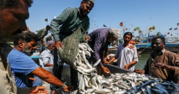 Ngư dân Pakistan lo tàu cá Trung Quốc đánh bắt cạn kiệt tài nguyên