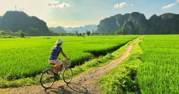 Bộ trưởng Nguyễn Xuân Cường: Ninh Bình cần phát triển nền nông nghiệp đặc hữu