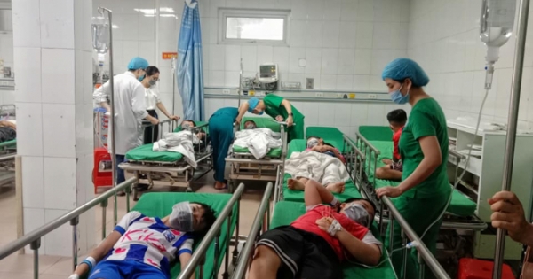 Nghệ An: Bị tổ ong ở trường tấn công, 16 học sinh nhập viện