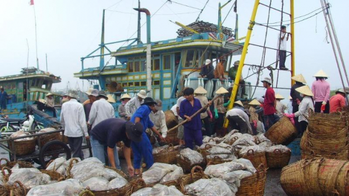 Việt Nam quyết tâm gỡ thẻ vàng với ngành thủy sản.