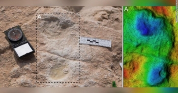 Dấu chân 120.000 năm tuổi được tìm thấy ở Ả Rập Saudi, có thể là của con người