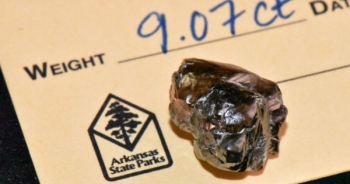 Vô tình nhặt được viên kim cương 9 carat khi dạo chơi ở công viên
