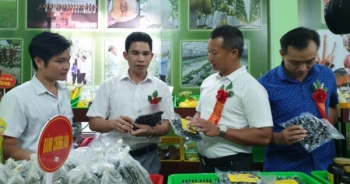 huyen hiep hoa ra mat website truy xuat nguon goc san pham nong nghiep