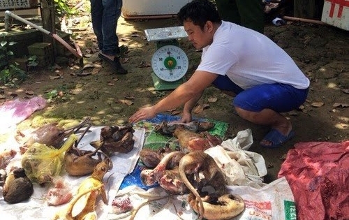 Lâm Đồng: Tàng trữ, mua bán động vật rừng, người đàn ông bị phạt hơn 300 triệu đồng