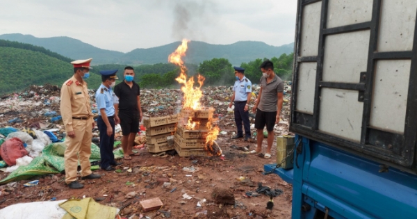 Quảng Ninh: Xử phạt và tiêu hủy hàng nghìn con gia cầm không rõ nguồn gốc